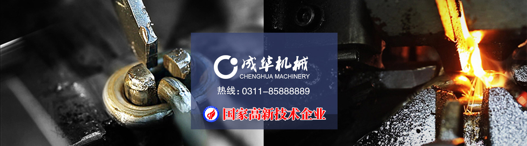 91视频直播下载91视频成人软件